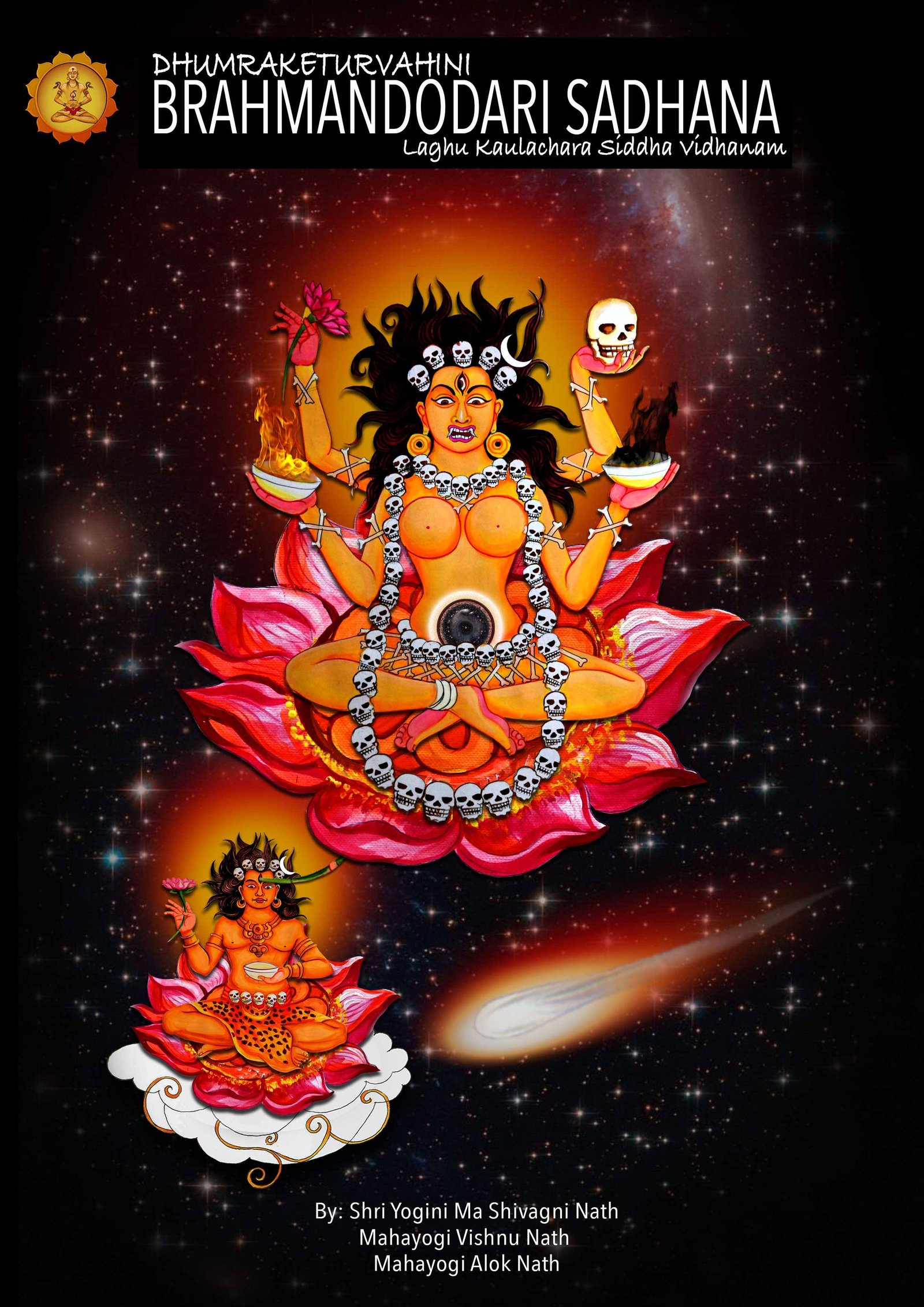 A Book Cover of Dhumraketu Vahini Brahmandodari Sadhana