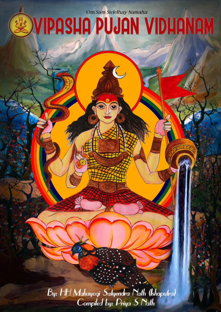 BOOK COVER OF VIPASHA PUJAN VIDHANAM