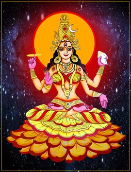 Pitru Loka Swamini Aaryamayi Devi