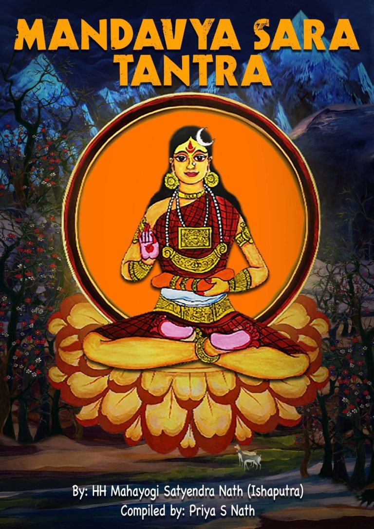 Book Cover of Mandavya Sara Tantra